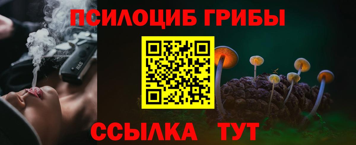 Псилоцибиновые грибы прущие грибы  Псилоцибиновые грибы Psilocybe  Янаул  Вход с VPN 